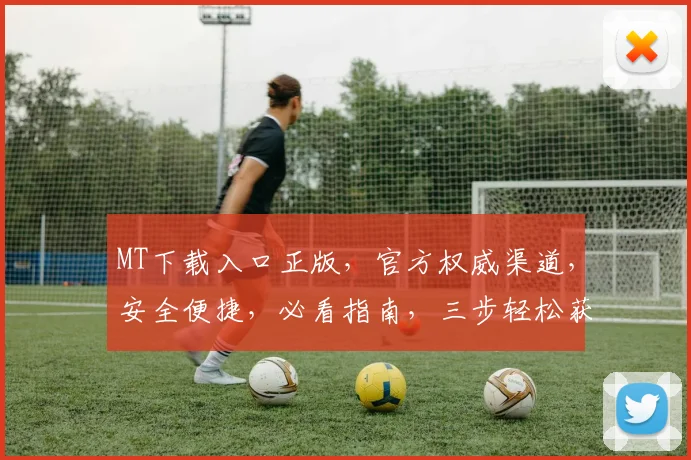 MT下载入口正版，官方权威渠道，安全便捷，必看指南，三步轻松获取