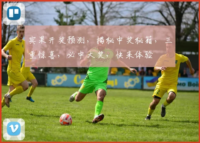 宾果开奖预测，揭秘中奖秘籍，三重惊喜，必中大奖，快来体验